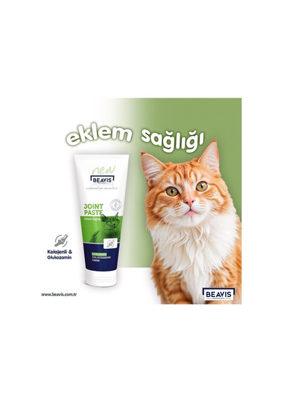Kolajen Ve Glukozamin İçeren Eklem Sağlığı Destekleyici Kedi Macunu 85 Ml