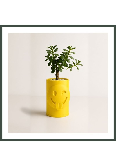 Bezos 3d Baskı Emoji Planter - Göz Kırpan Yüzlü Sukulent Saksısı-sarı Nhr Standart
