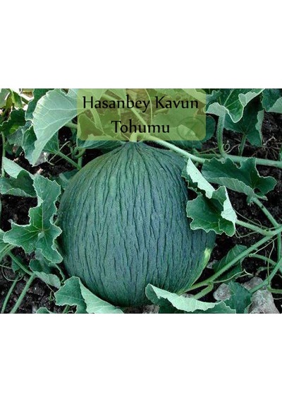 6 Paket Tohum No5 Kırkağaç Kavunu Tohumu Kara Kavun Tohumu Barbunya Tohumu Brokoli Tohumu ...