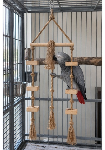 Mivra Pets Papağan Oyun Parkuru 80 Cm Ahşap Jüt