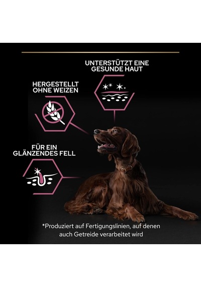Large Athletic Adult Somonlu Köpek Maması 14 Kg