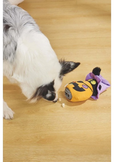 M-pets Halloween Pumpkin Snack Attack Köpek Oyuncağı