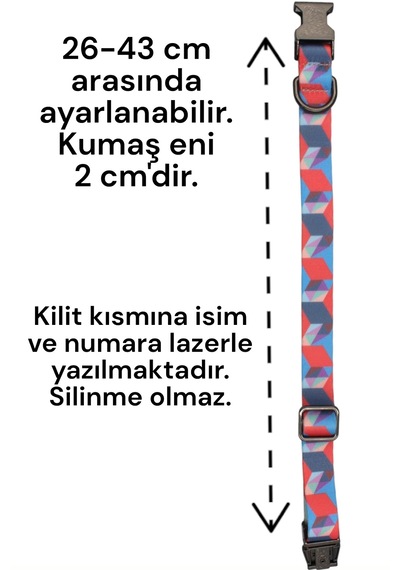 Caramelos İsimli Köpek Tasması, Köpek Künyesi, Köpek İsimlik 220 Pembe & Mavi