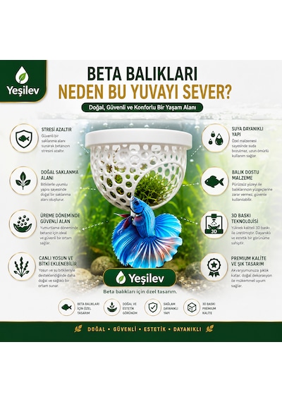 Beta Balığı Mavi Betta Dinlenme Alanı & Üretim Yuvası