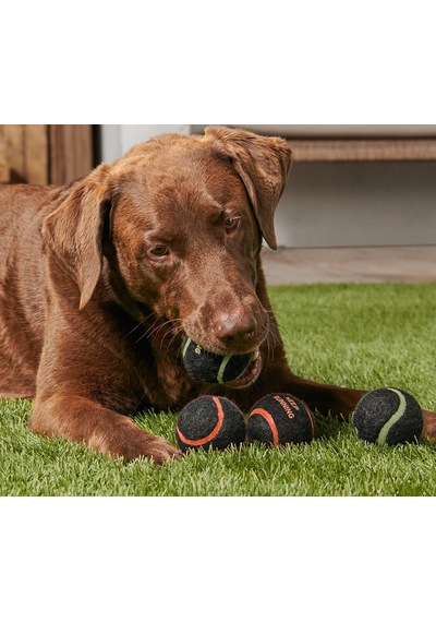 Köpekler İçin Oyuncak Top, 4 Lü Set