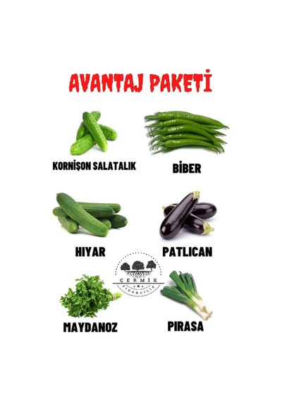 Kornişon Hıyar ,biber , Hıyar , Patlıcan , Maydanoz , Pırasa 60