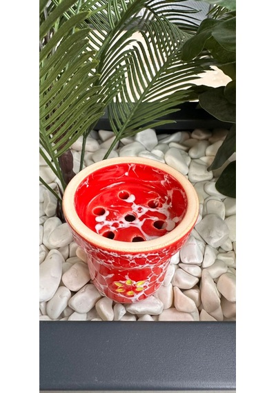 Solaris Eva Red White