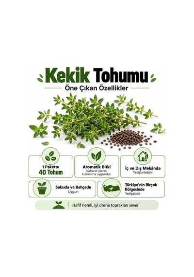 Sunagri Kekik Tohumu Saksı Bahçe Balkon Aromatik Bitki Yetiştiriciliği 40 Adet