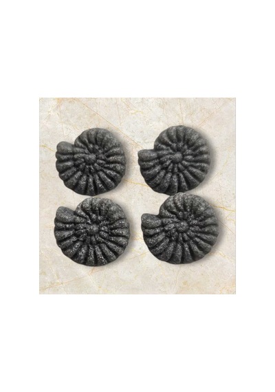 Fosil Salyangoz Kemik Düğme Alttan Dikim 1,4 Cm 6 Adet - 691742218