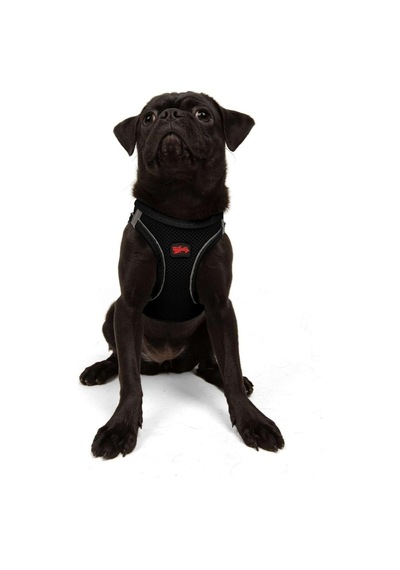 Tailpetz Air-mesh Küçük Ve Orta Irk Kedi Köpek Göğüs Tasması - Yumuşak, Nefes Alabilir, Dayanıklı Siyah, Medium Sku: Zeusb0827z3ybx Açık Bej - Bej