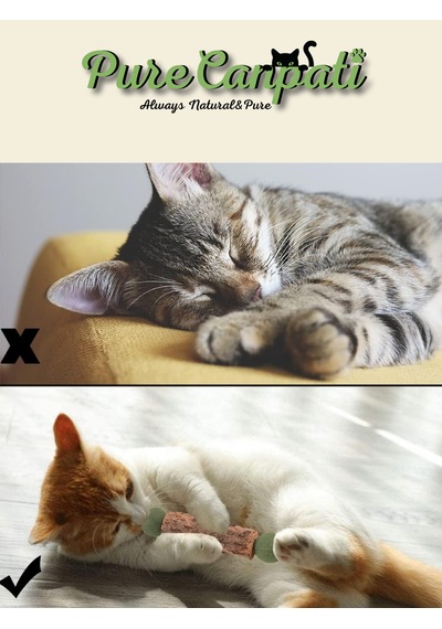 Purecanpati Catnipli Matatabi Stick Kedi Diş Kaşıyıcı Oyuncak