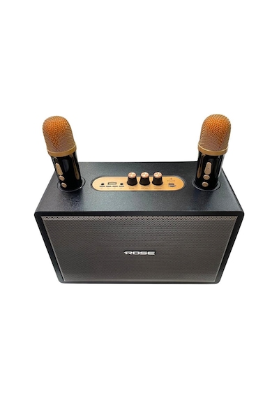 Rose Hp-615 Çift Mikrofonlu Karaoke Taşınabilir Şarjlı Bluetooth Hoparlör