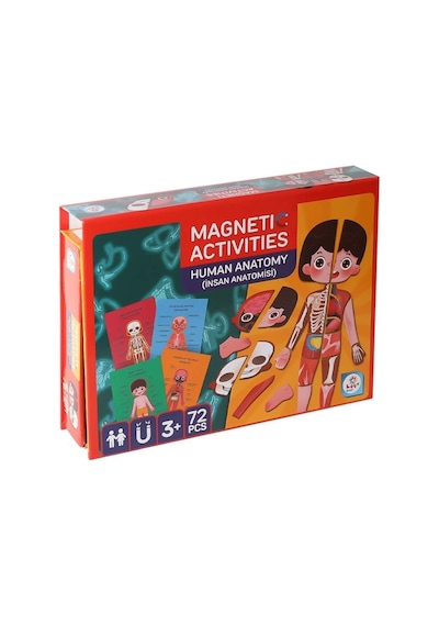 Lc986 Manyetik Oyuncaklar Aktivite İnsan Anatomisi -laço