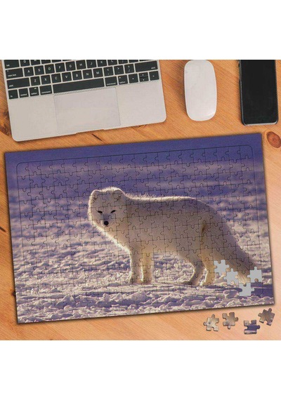 Kar Beyazı Kutup Tilkisi 240 Parça Puzzle Yapboz-1853508