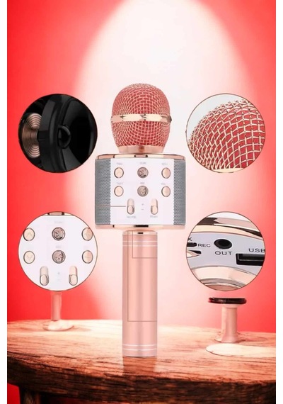Şarjlı Ve Uzun Pil Ömürlü Karaoke Mikrofon Usb Bellek Destekli, Profesyonel Ses