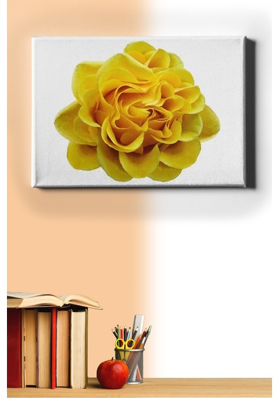 Webstyle Sayılarla Boyama Seti Kasnaklı Sarı Gül 50 X 65 Cm