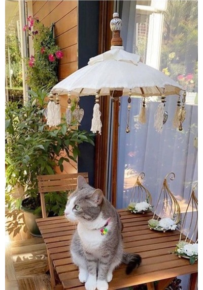 Prodiva Dekoratif El Yapımı Bali Şemsiye, Krem, 80 Cm