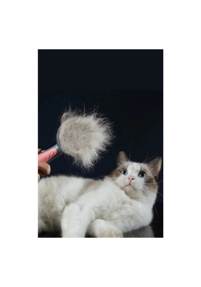 Kullanıma Uygun Otomatik Tuşlu Kendini Temizleyen Kedi Köpek Tarağı
