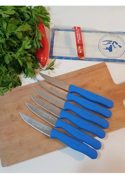 Sürbisa Meyve Takımı Mavi 6'lı 61007 7.0 Cm Çok Renkli