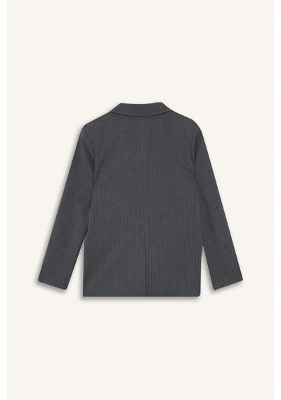 Defacto Regular Fit Düğmeli Blazer Ceket F9465ax25augr93 Gri