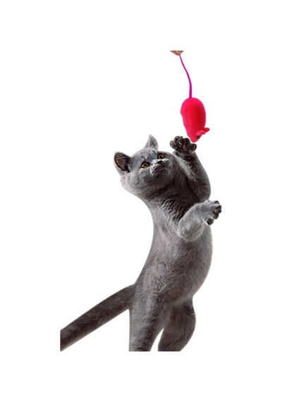 Kedi Eğitim Oyun Faresi Sesli 2 Adet Kedi Egzersiz Oyuncağı