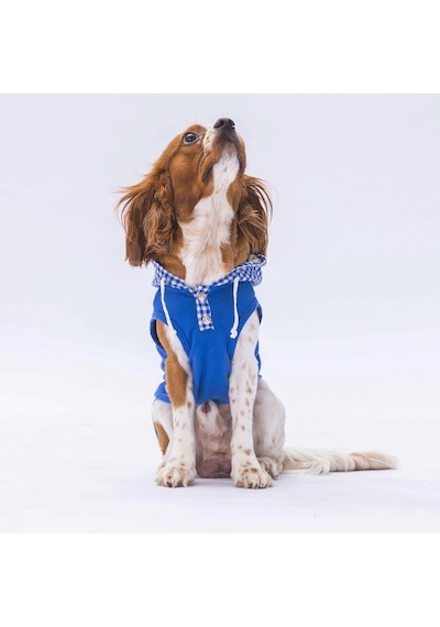 Pawstar Mavi Gingham Kapşonlu Kedi Köpek Tişörtü Kedi Köpek Kıyafeti