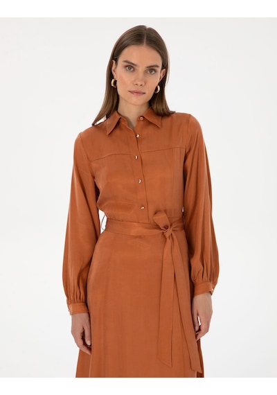 Pierre Cardin Kadın Tarçın Elbise Dokuma 50313239-vr191 Tarçın