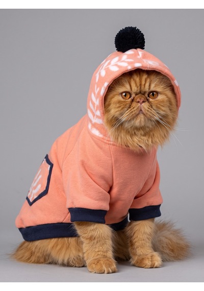 Apeachy Pink Kedi Polar Sweatshirt Sıcak Tutan Yumuşak Kedi Kıyafeti Apeachy Pink Kedi Polar Sweatshirt Sıcak Tutan Yumuşak Kedi Kıyafeti