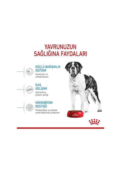 Royal Canin Giant Junior Dev Irk Yavru Köpek Maması 15 KG