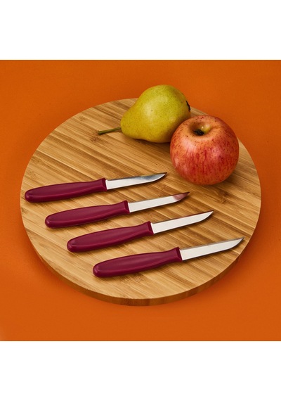 Roocc 4'lü Meyve Bıçağı - Asorti - 20 Cm Çok Renkli