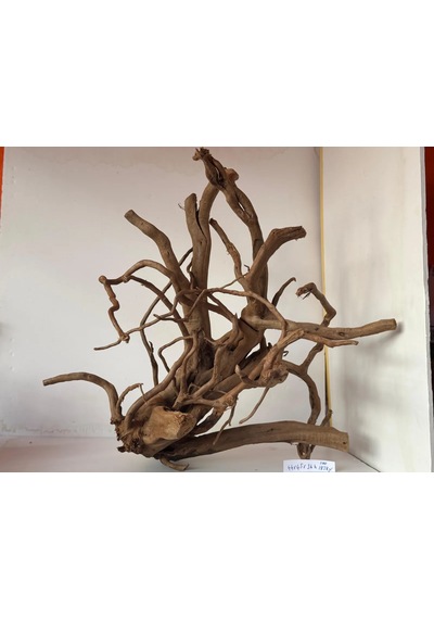 Yati Kökü No:100 44x45x36h