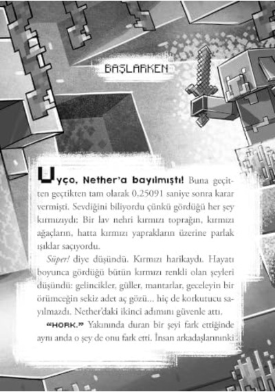 Minecraft-nether A Son Sefer