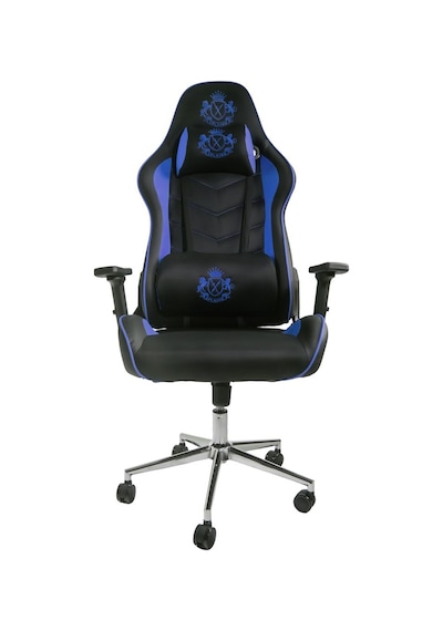 Xplayer Blue Oyuncu Koltuğu Profesyonel, Ergonomik Ve Yayıncılar İçin Gaming Koltuk Mavi