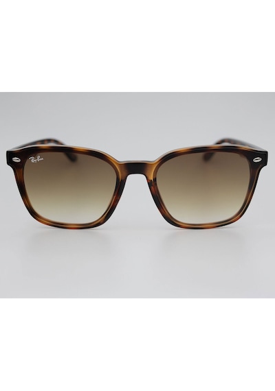 Ray Ban Rb 4392 710/13 66-17 Unisex Güneş Gözlüğü Çok Renkli