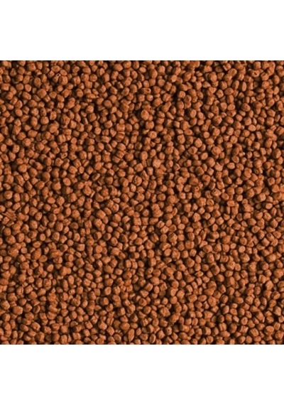 Tropical Red Parrot Gran 25 Gram Açık