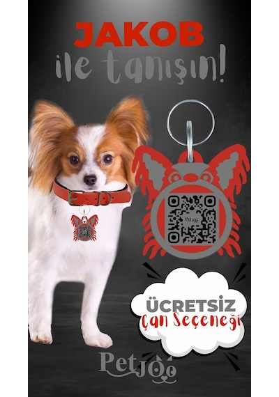 Petjoo 8.Jakob Gri-Kırmızı Qr'lı Köpek Künyesi