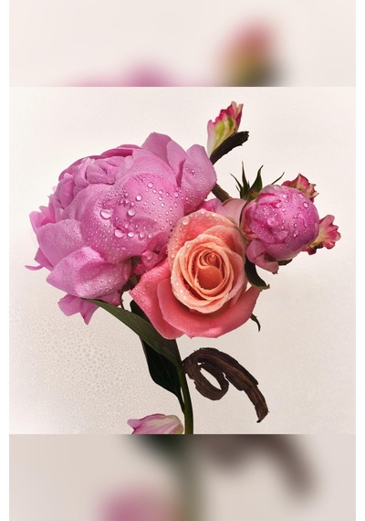 Athena Club Petal Bloom Saç Ve Vücut Spreyi 177ml