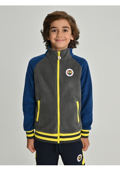 Fenerium Çocuk Trıbun Reglan Kol Detaylı Sweat Grı