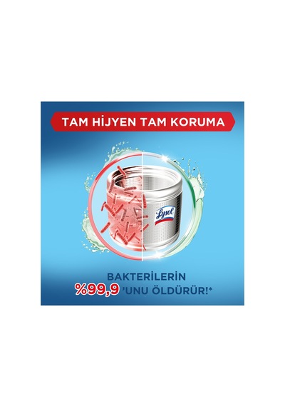 Lysol Çamaşır Makinesi Temizleyici Çam Ve Okaliptus Ferahlığı 250 Ml
