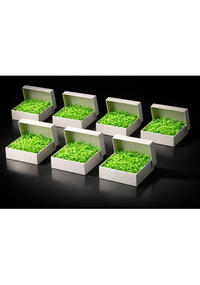 Beyaz Karton Takı Kutusu 9,5x9,5x2 Cm Kapaklı Model 5 Adet + Yeşil Kırpık Kağıtlı