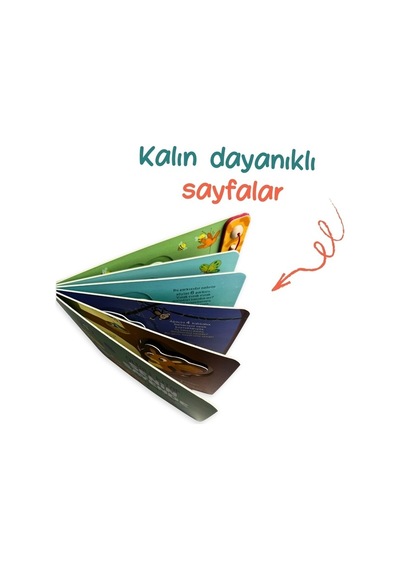 Sincap Kitap Senin Sayende Sayalım Mı Oltalı Kitap