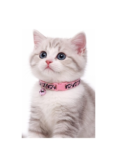 Kedi Boyun Tasması Zilli Ve Ayarlanabilir Alaca Desenli