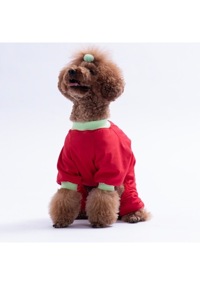 Kırmızı Stay Groovy Kedi Köpek Pijaması - Kedi Köpek Tulumu - Kedi Köpek Kıyafeti