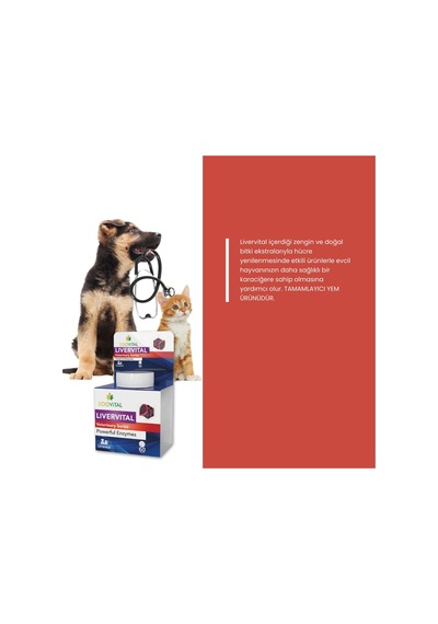 Livervital Kedi Ve Köpekler İçin Karaciğer Sağlığı Destekliyici Tablet