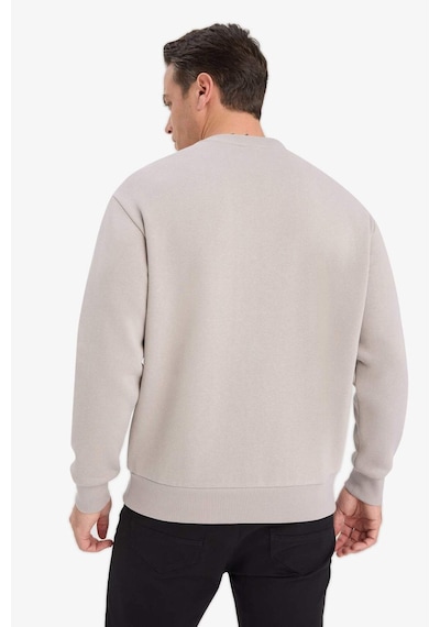 Defacto Relax Fit Bisiklet Yaka Kalın İçi Yumuşak Tüylü Basic Düz Sweatshirt T5139az25augr302 Gri