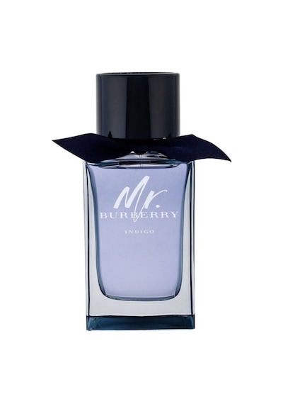 Burberry Mr. Burberry Indigo Erkek Parfüm EDT 100 ML