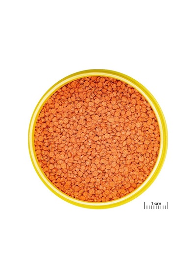 Jbl Pro Novo Bits Grano M Granül Çiklet Balık Yemi 100 G