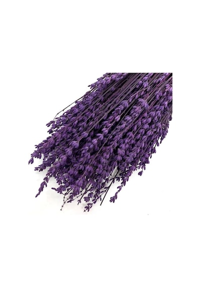 Yapay Çiçek Deposu Şoklanmış Lavanta Demeti Natural Lavender Bundle Mor 40-50 Cm