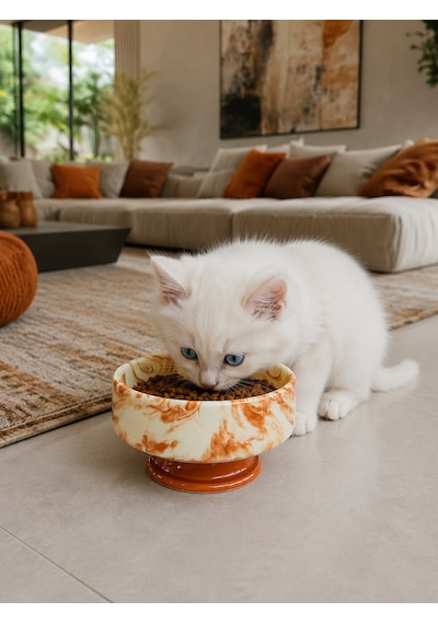 Mama Kabı Kedi Ve Köpek 1 Adet Doğal Mama Veya Su Kabı Kahverengi Marble
