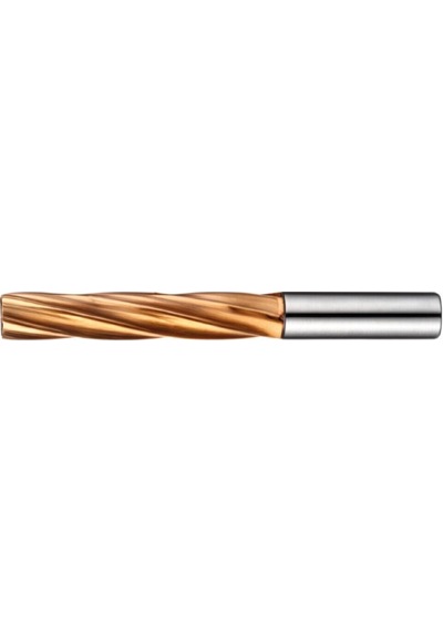 12mm Karbür Düz Şaftlı Rayba H7 Eric